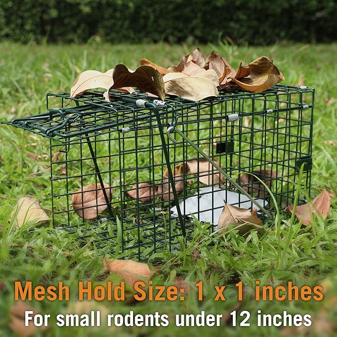 HOMESTEAD Collapsible Live Trap 14in – Small Animal Trap Cage for Red Squirrels, Adult Rats, and Small Weasels with 1″ Mesh Wire