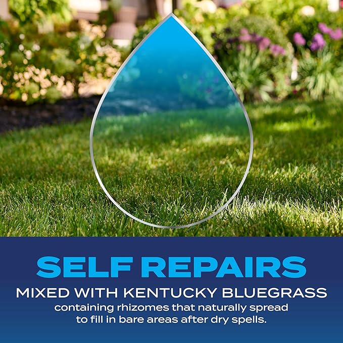 Scotts Grass Seed Drought Tolerant Mix, Kentucky Bluegrass and Tall Fescue Grass Seed Mix, Covers up to 2,000 sq. ft., 4 lb.