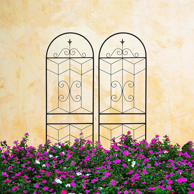 2 Pack 71x20in Garden Trellises with Black Metal Coating, Trellis for Climbing Plants Outdoor, Roses, Vines, Flowers, and Vegetables.