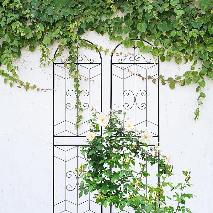 4 Pack Metal Garden Trellis 71" Tall Outdoor Climbing Plant Support for Roses, Flowers, Rustproof Durable Black Galvanized Tube, Lawn Garden Fence Decor Screen (4, Castle-71 H)