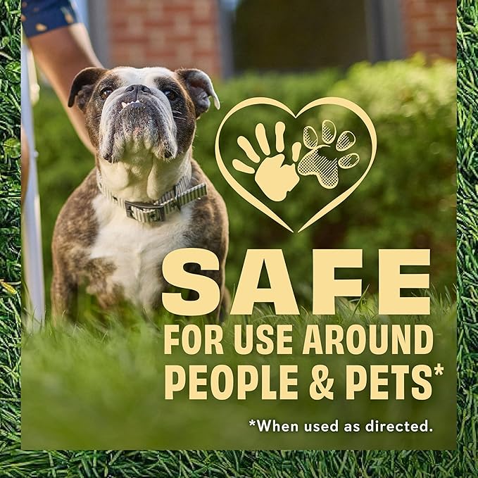 O.M. Scott and Sons Tall Fescue Blend Grass Seed, Fertilizer and Soil Improver, Naturally Crowds Out Weeds, Covers Up to 2,000 sq. ft., 8 lbs., 2-Pack