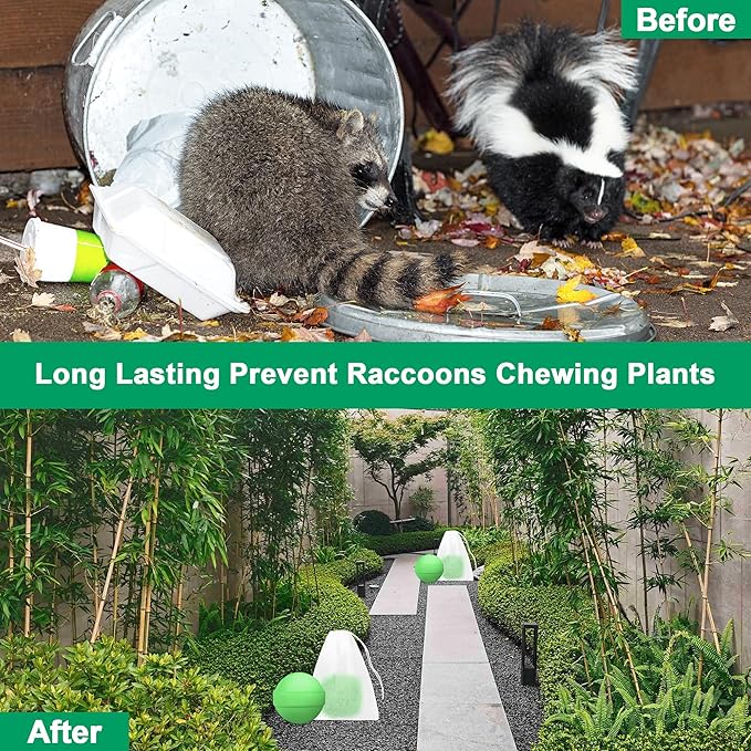 36 Pack Powerful Peppermint Oil to Repel Skunk, Natural Raccoon Rat Repellent for Yard Outdoor Garden Home Plant, Mice Squirrel Skunk Fox Deer Deterrent Pet & Humans Safe