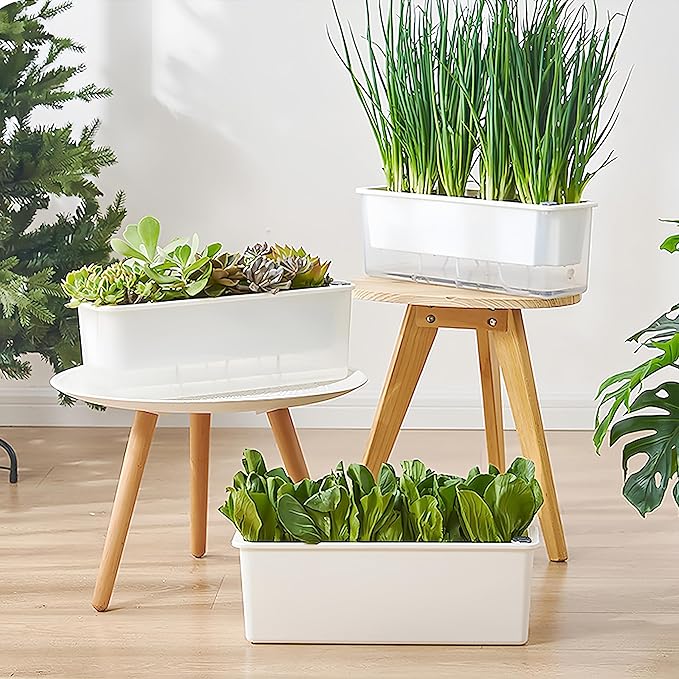 FAMZ Self Watering Pots - 3 Pack Transparent Rectangular Planting Pots for Indoor Plants - Suitable for Growing African Violets, Fruits, Vegetables, Flowers