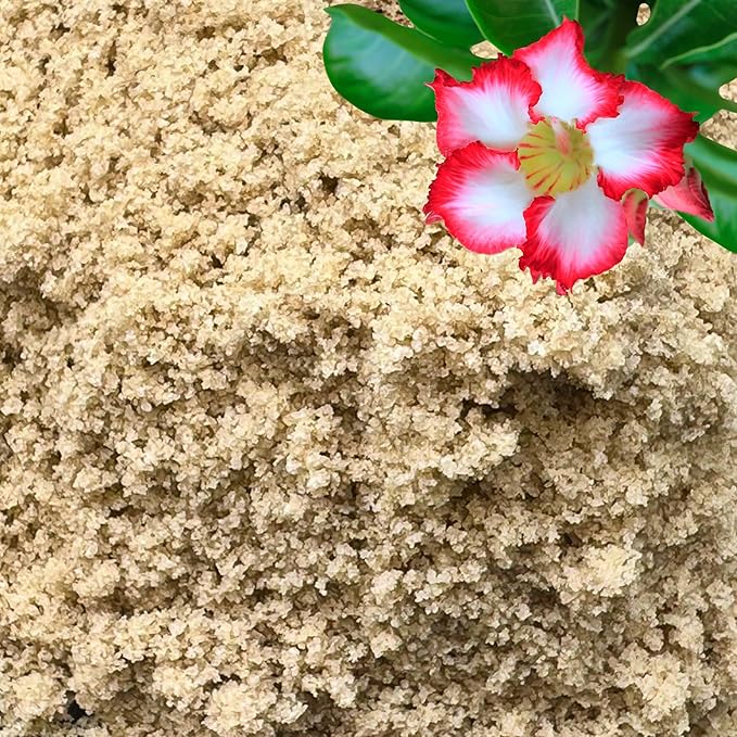 Fine Sand for Plants – Horticultural Sand for Succulents, Cactus, Potting Mixes, Terrariums & Decorative Indoor Gardens, Made in USA (1 Quart - 2.8 lbs)
