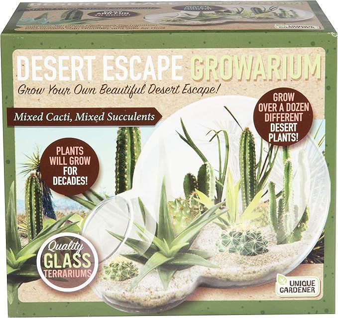 Grow Your Own Desert Escape in A Quality Glass Terrarium Starter Kit with Complete Supplies - Easy to Maintain Indoor Cacti and Succulents - Over A Dozen Desert Plants That Will Last for Years!