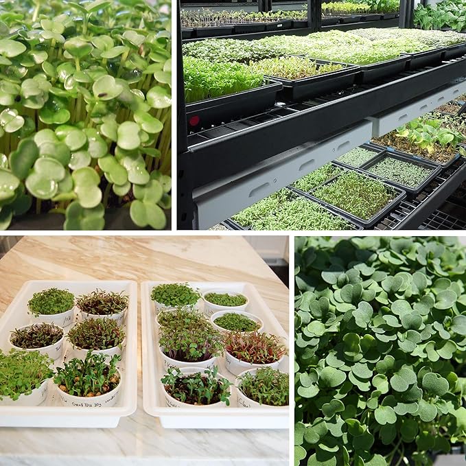 Handy Pantry Black Plastic Garden Tray Inserts - 5 Sheets of 36 Planting Pot Cells Each - 2x3 Nested x6 Configuration - Perforated - Nursery, Greenhouse, Gardening