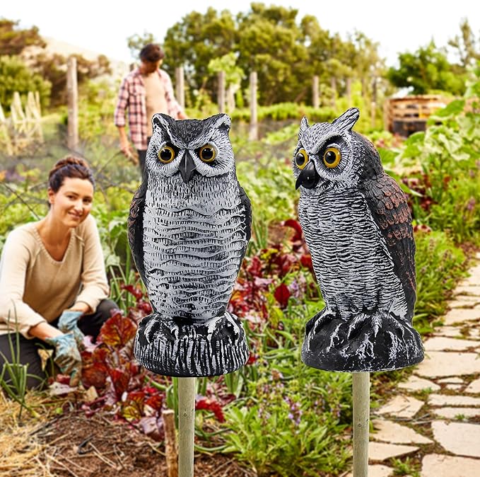 Hausse 2 Pack Fake Horned Owl Bird Scarecrow Decoy 10.5 Inch Height, Plastic Deterrents, Halloween Decoration, Nature Enemy Pest Repellent for Outdoor Garden Yard