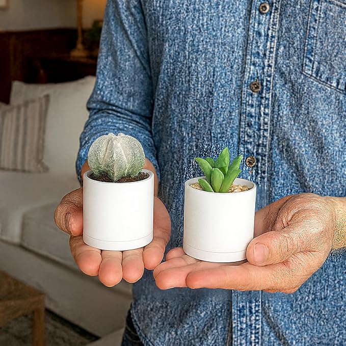 D'vine Dev 24 Pack 2 Inch Mini Plastic Plant Pots, Small Garden Planters for Plant with Drainage Holes and Saucers, White Color, 74-Z-A-6