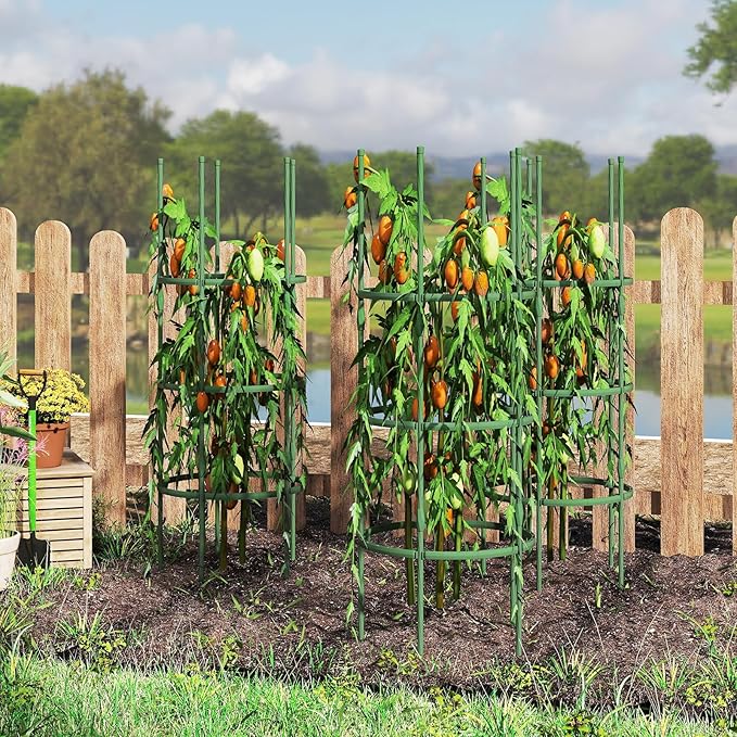 Happygrill 3 Pack Plant Cages and Supports, 60 inch Tall Adjustable Tomato Cage w/Clips & Ties, Heavy-Duty Garden Trellis for Climbing Plants, Vines, Flowers, Vegetables, Potted Plants Indoor Outdoor