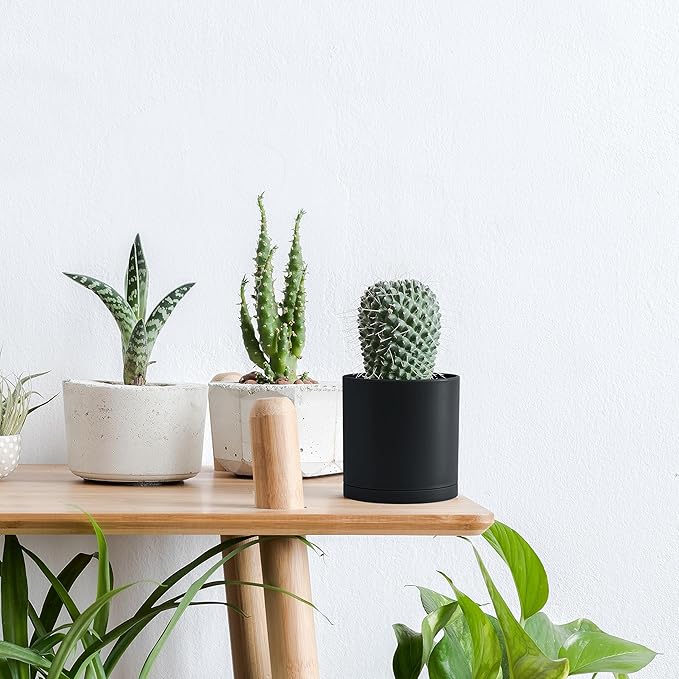 D'vine Dev 2 Pack 4 Inch Modern Plastic Plant Pots, Small Garden Planters for Plant with Drainage Holes and Saucers, Black Color, 74-Y-E-1
