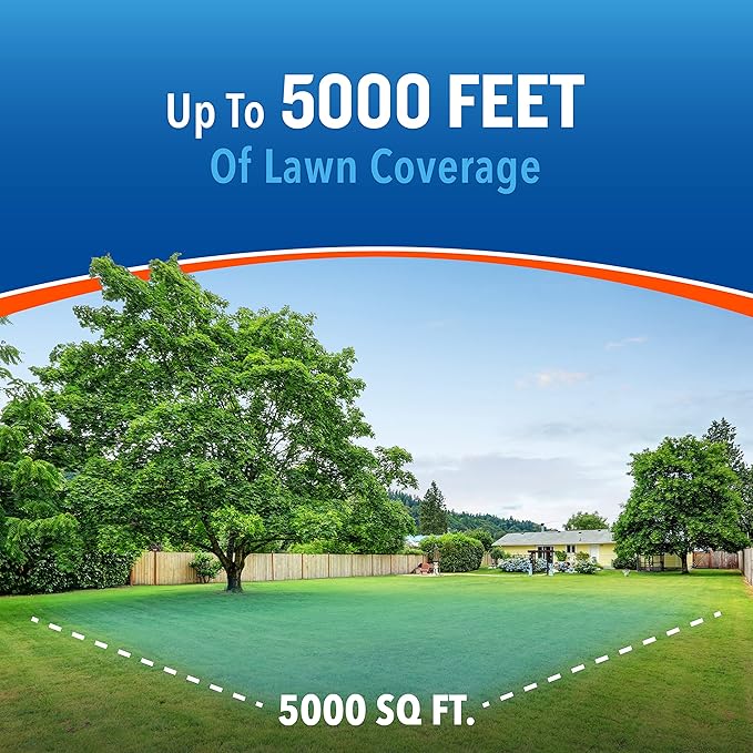 Cutter Backyard Bug Control Spray Concentrate (6 Pack), Kills Mosquitoes, Fleas & Listed Ants, 32 fl Ounce