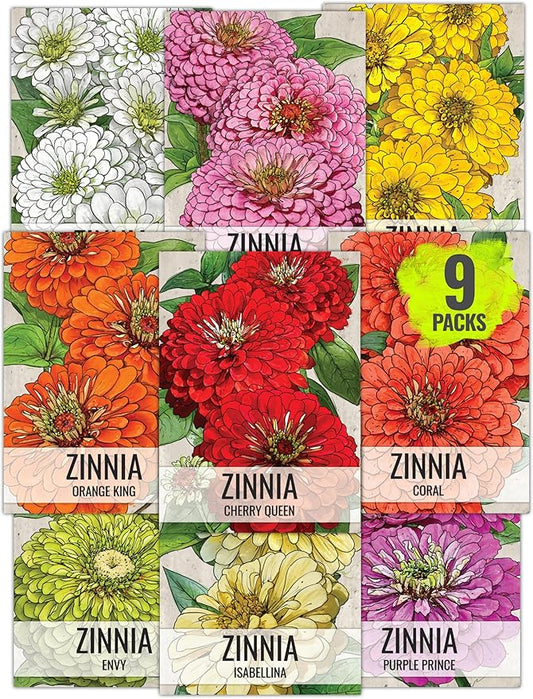 Seed Needs Zinnia Seeds for Planting California Giants Zinnias - Collection of 9 Individual Heirloom Seed Packets - Grow a Butterfly Garden to Attract Butterflies, Bees & Other Pollinators