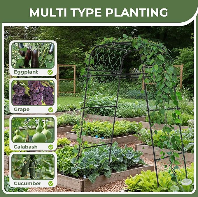 Garden Arch Plant Trellis for Climbing Plants Outdoor, Cucumber Trellis for Raised Bed, Grape Metal,Arbor Trellis Plant Support Flower Vegetables,Tomato Black,6.7FT Rust-Proof