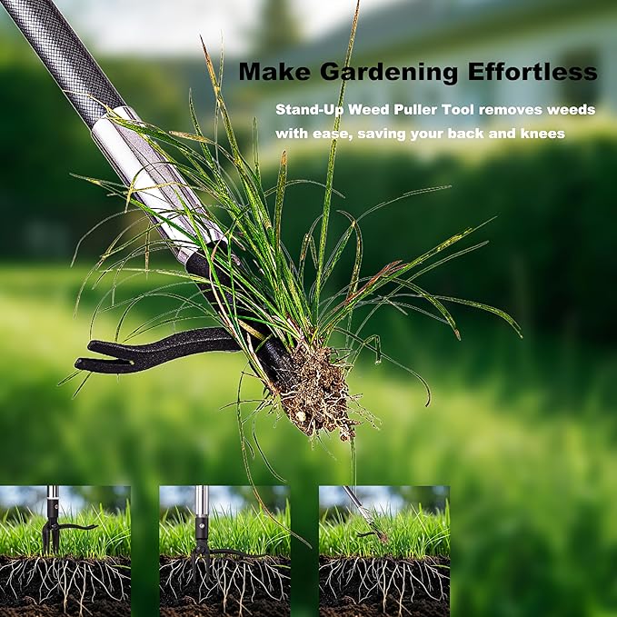 Hand Weed Puller Stand Up Weed Puller Tool with Epoxy Resin Long Handle 4-Claw Steel Head,2-Section Design Sturdy Garden Tools-Easily Remove Weeds Without Bending, Pulling,or Kneeling