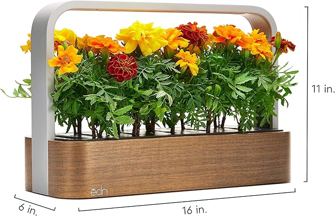 SmallGarden with Basil SeedPods, Indoor Grow Smart Garden for iOS Devices - Fresh Home Grown Herbs, Plants and Flowers - Grow up to 10 Different Plants at Once