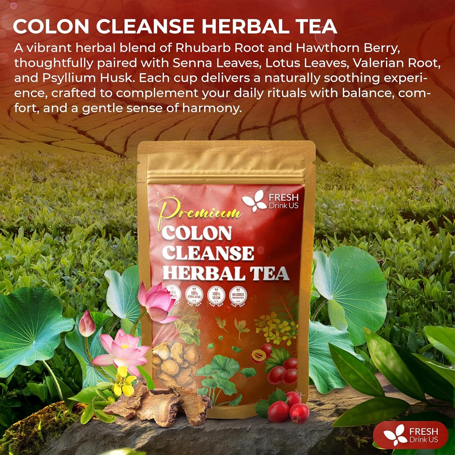 FreshDrinkUS, Premium Colon Cleanse Tea – 60 Tea Bags – Rhubarb Root & Hawthorn Berry with Senna, Lotus Leaf, Valerian Root & Psyllium Husk – Herbal Blend, Caffeine-Free. Vegan