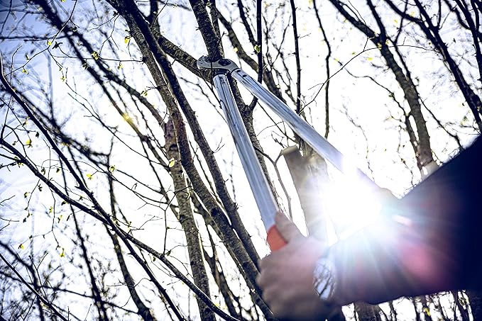 Original LÖWE Professional Anvil Lopper Garden Tools 22.080 | Use as Pruners, Garden Shears, Pruning Shears for Gardening | For cutting branches, twigs, trees & shrubs | 31.5 inches | Made in Germany