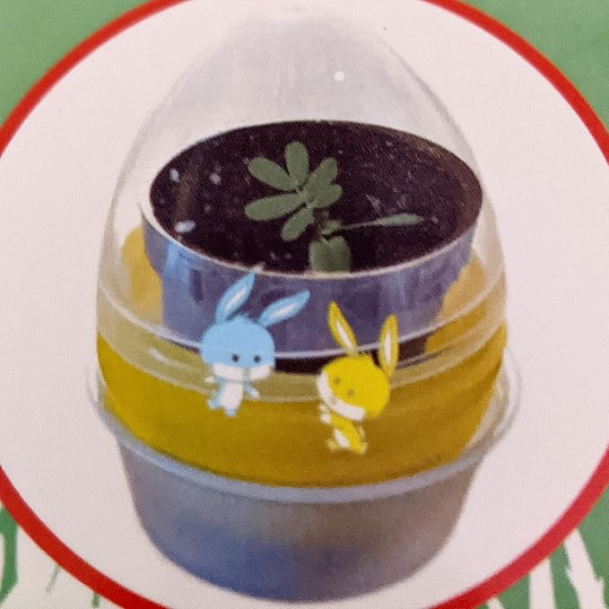 TickleMe Plant Egg Grow Kits (2) - Hatch Your Own TickleMe Plants Inside an Egg - Leaves Fold Up When You Tickle Them! Full Kit for Simple Growing - Or a Unique Easter Basket Stuffer Surprise