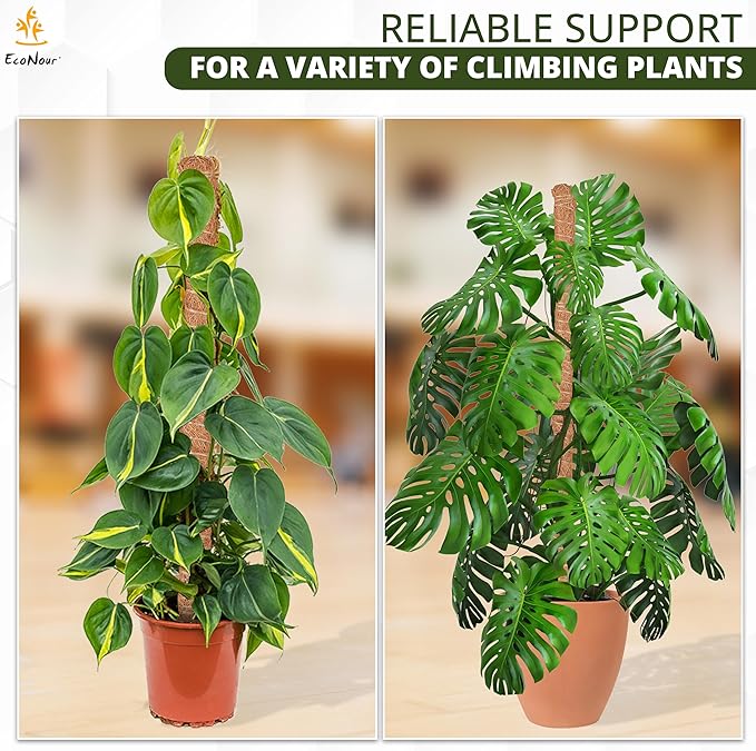 EcoNour Tall Moss Pole for Plants (1-Pack) 63-Inch | Large Monstera Plant Support for Climbing and Growth | Elevate Your Indoor Garden | Tall Plant Support for Indoor Potted Plants to Grow Upwards