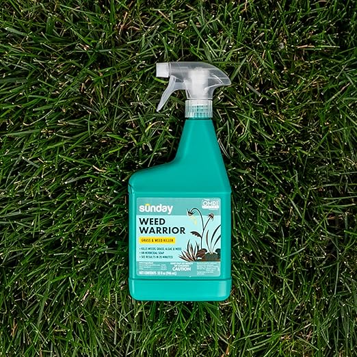 Sunday Weed Warrior, 32oz, 2 Pack - Grass & Weed Killer - Organic, Ready-to-Use Weed Killer Spray - Herbicide Spot Treatment - Kills Weeds, Grass, Algae and Moss
