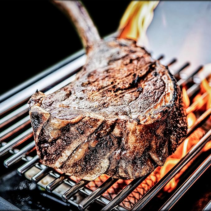 Broil King 956947 Regal S 490 Pro IR Natural Gas Grill, 5-Burner, Stainless Steel