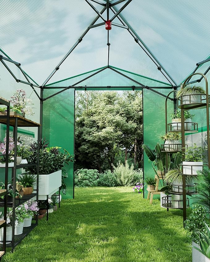 8X12 FT Portable Greenhouse for Outdoor,243 x 365 CM Wall in Pop Up Greenhouse for Gardening Plant, Zipper Roll Up Door & 4 Mesh Window, Double Frame, PE Cover Grow Tent for Winter, Green