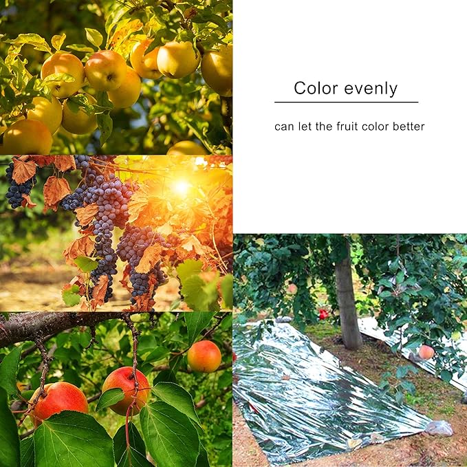 winemana 6 Pack Large High Silver Reflective Mylar Film, 83x 63 in, High Reflectivity, Keep Warm, 100% Environmentally Safe, Perfect for Plant Growth, First Aid, Marathon, Camping, Outdoor Survival