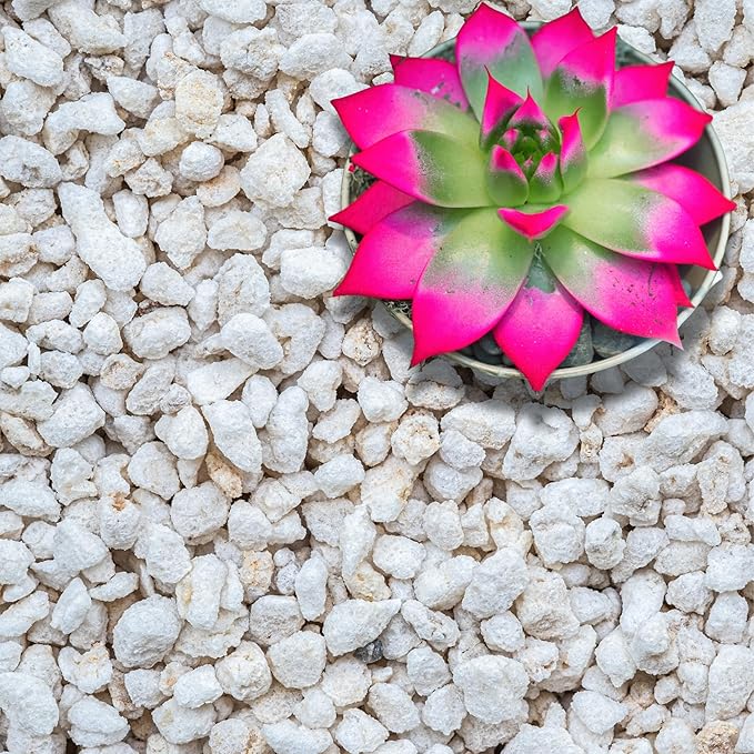 Perlite for Plants, Extra Coarse Grade 4 Horticultural Perlite, Organic Perlite for Gardening Indoor & Outdoor, Made in USA (1 Quart)