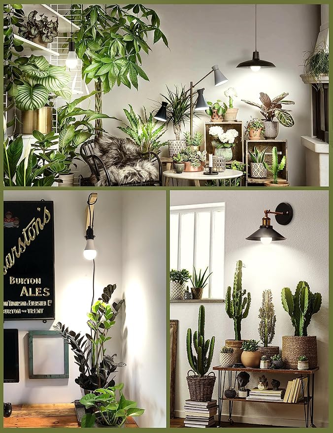 Grow Light Bulbs, Full Spectrum Light Bulb, A19 Grow Light Bulb, Plant Light Bulbs E26 Base, 9W Plant Grow Light Bulbs 100W Equivalent, Grow Light for Indoor Plants, Seeds, Flowers, 12 Pack