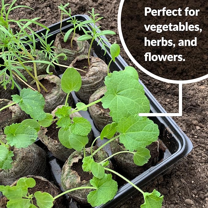 Jiffy Seed Starting Tray Kit, 36 Cell 36mm Peat Pellets with Bonus - 3 Pack, 108 Pellets Total