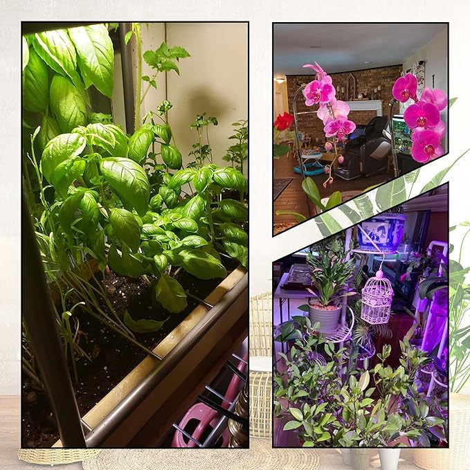 LED Grow Light Bulb for Indoor Plant 9W A19 Plant Light Bulb for Winter with 5000K Red Blue 100W Equivalent Full Spectrum E26 Grow Light Bulb for Seed Starting, Flowers, Hydroponic, Succulents, 3 Pack