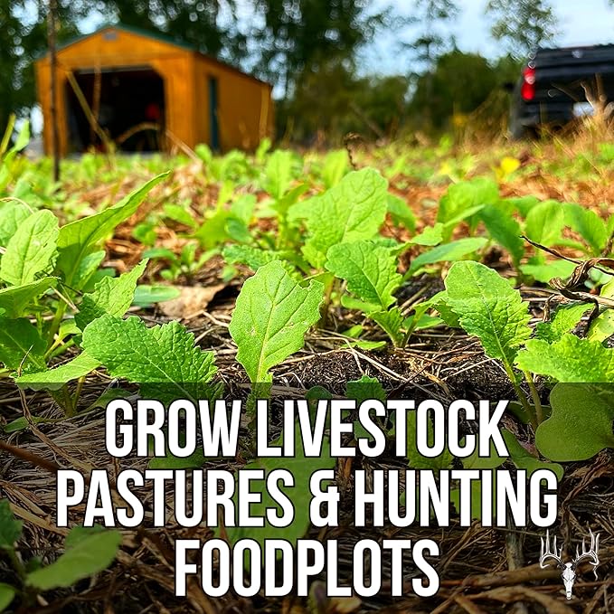 Dwight’s Pure Sugar Beet Seed for Deer, 50 LB Bulk, Planting Seeds Grow Whitetail & Turkey Hunting Food Plot Attractants, Winter Root Crop & Cold Tolerant Forage Feed Wildlife, No Coat