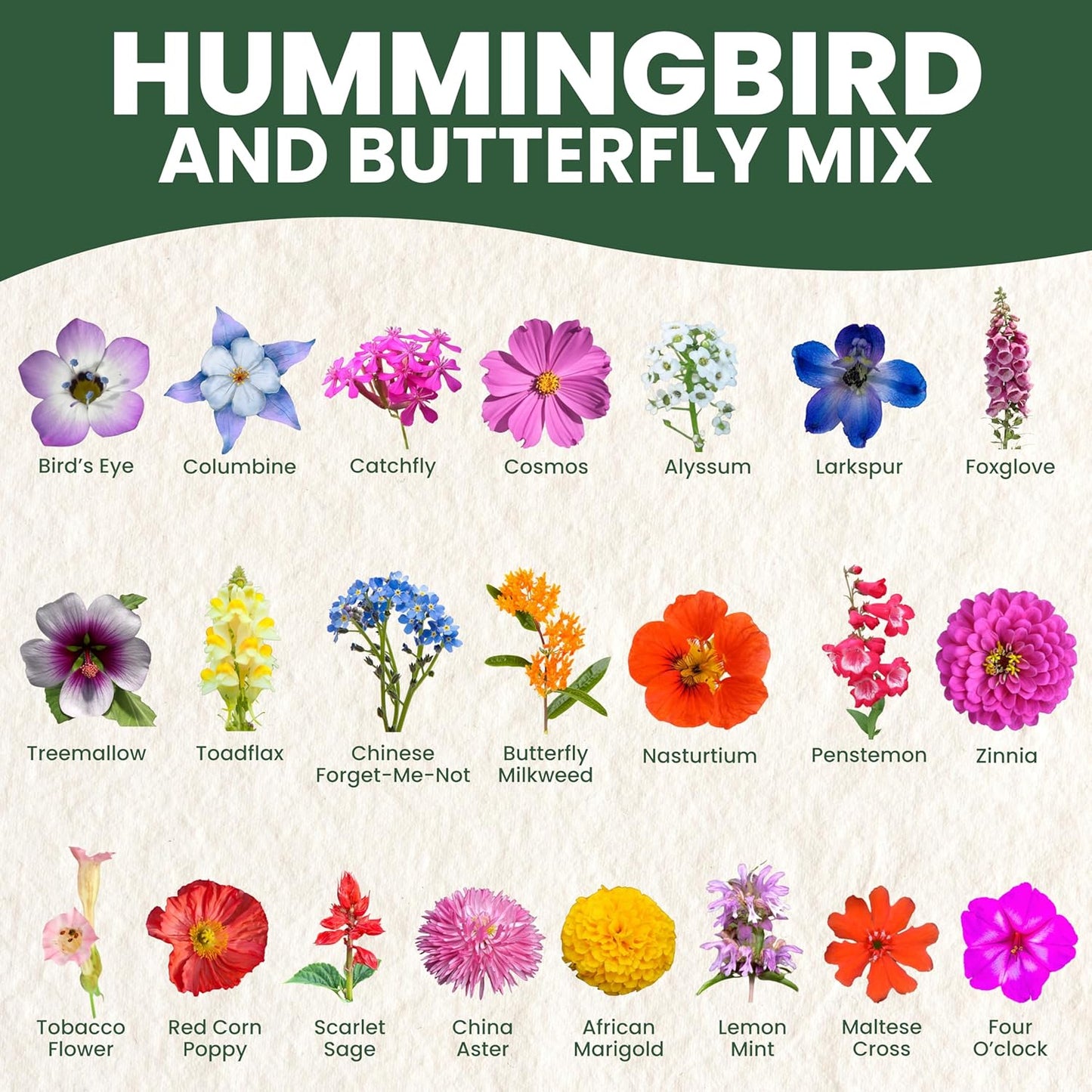 Hummingbird Butterfly Mix - Large 1 Ounce Packet - 7,500 Flower Seeds for Planting - Wildflower Mix