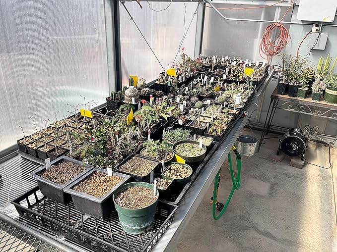 Propagation Mats Original from Manufacturer Size 11" x 48" in. for Reptiles and Seedling mats