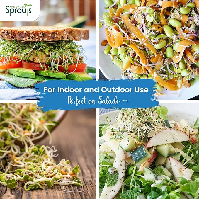 Nature Jims Sprouts Alfalfa Seed – 16 Oz Organic Sprouting Seeds – Non-GMO Premium Alfalfa Seeds – Resealable Bag for Longer Freshness – Rich in Vitamins, Minerals, Fiber