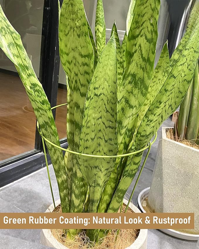 5-Pack Heavy Duty Garden Plant Stakes, 3.2mm Steel Plant Support Stakes for Indoor Outdoor Use - Tomato Cages, Monstera, Peony Supports for Potted Plants & Trees - 6" W x 11" H (Mint Green)