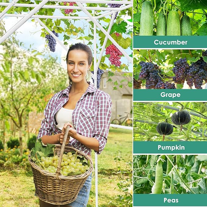 SHANTRA 79'' L x 59'' W x 79'' H Grape Trellis, Vine Support Arch Arbor, Garden Arch, Plant Climbing Pergola, Arbour Gazebo Trellis for Backyard Decoration, White Rack for Vineyard