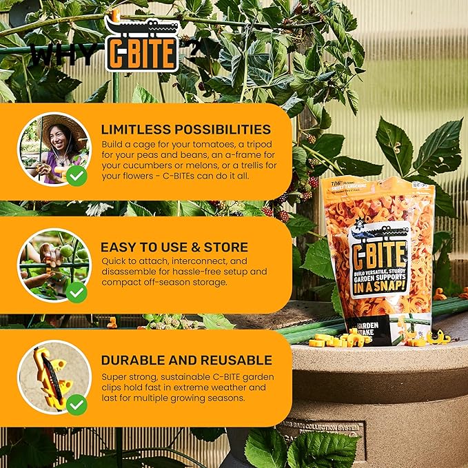 Plant Support Clips for Trellis, Garden Stakes, Wire Fence, Climbing Plants, Indoor Gardening, Hydroponics Systems, and Vines | Durable Gardening Clips (Tangerine Orange - 1,000 Pack)