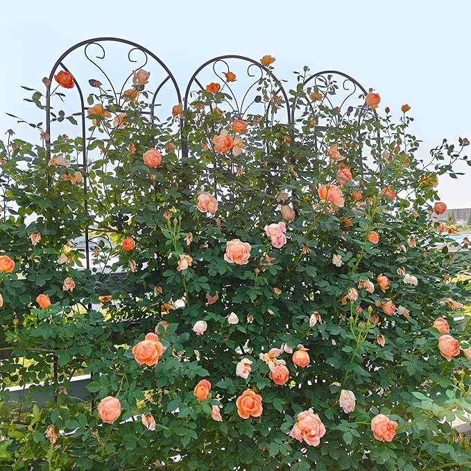 2 Pack Metal Garden Trellis for Climbing Plant Rose Stand,86.7'' Tall Black Pattern Outdoor Flower Support Iron Garden Fence, Black