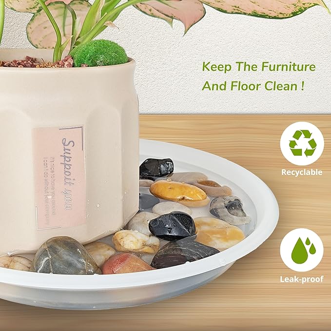 12Pcs Colourful Plant Saucer, 6 8 10 Inch Durable Plastic Plant Tray, Round Plant Pot Saucers, Drip Tray for Indoor and Outdoor Garden, Semi-Clear