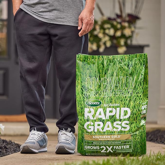 Scotts Turf Builder Rapid Grass Southern Gold Blend for Tall Fescue Lawns, Combination Seed and Fertilizer, 16 lbs.
