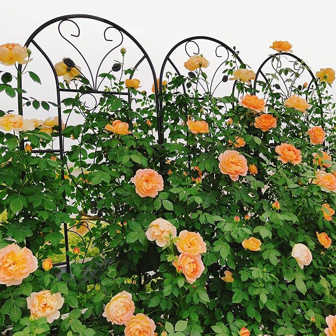 4 Pack Metal Garden Trellis for Climbing Plant Rose Stand, 86.7'' Tall Black Pattern Outdoor Flower Support Iron Garden Fence, Black