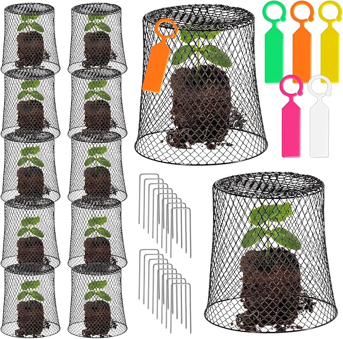 10 Pcs 8inch Chicken Wire Plant Covers Wire Garden Cloches Chicken Wire Cloche Plant Protector Metal Heavy Duty Garden Plant Cloche for Keeping Bunnies Chicken Squirrels Birds Other Out