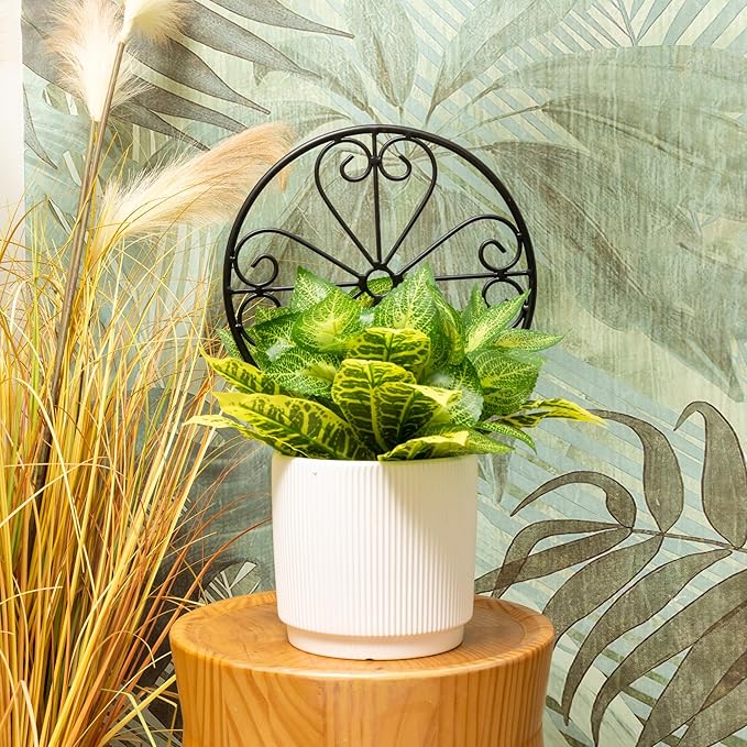 2 Pcs 14in Indoor Metal Garden Circle Plant Trellis for Houseplant Climbing Pot Plants, Black (Style D)