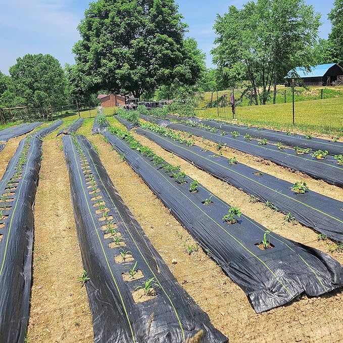 3ft x 100ft Durable Weed Barrier Fabric, 3.2oz Heavy-Duty Landscaping Fabric, Permeable Ground Cover for Garden, Lawn, and Outdoor Projects, Easy to Install, with 30 Staples