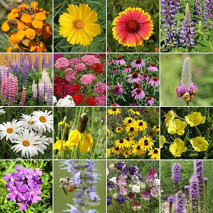 Ferry-Morse Perennial Mix Bulk Wildflower Seeds, 1lb