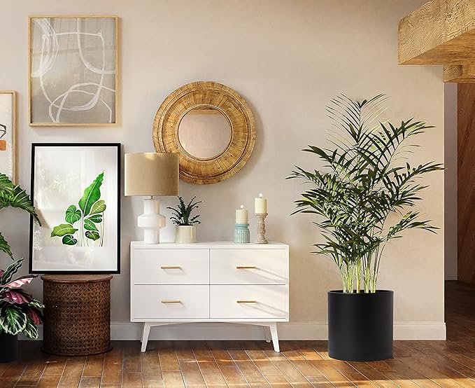 D'vine Dev 10 Inch 12 Inch 14 Inch, Set of 3 Plastic Planter Pots for Plants with Drainage Hole and Seamless Saucers, Black Color, XX-Large, 74-V-B-6