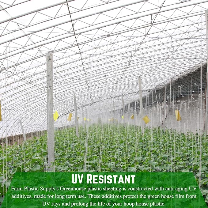 Farm Plastic Supply - String Reinforced 4 Year UV Resistant 10 mil Clear Greenhouse Plastic Sheeting - 4 Year UV Resistant Polyethylene Greenhouse Film, Hoop House Green House Cover (60' x 50')