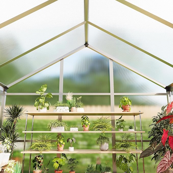 8x10 FT Greenhouse for Outdoors, Polycarbonate Greenhouse with Roof Vent, Ground Nails, Lockable Push Door, Aluminum Large Walk-in Green House for Outside Garden Backyard, Patio, Lawn, Silver