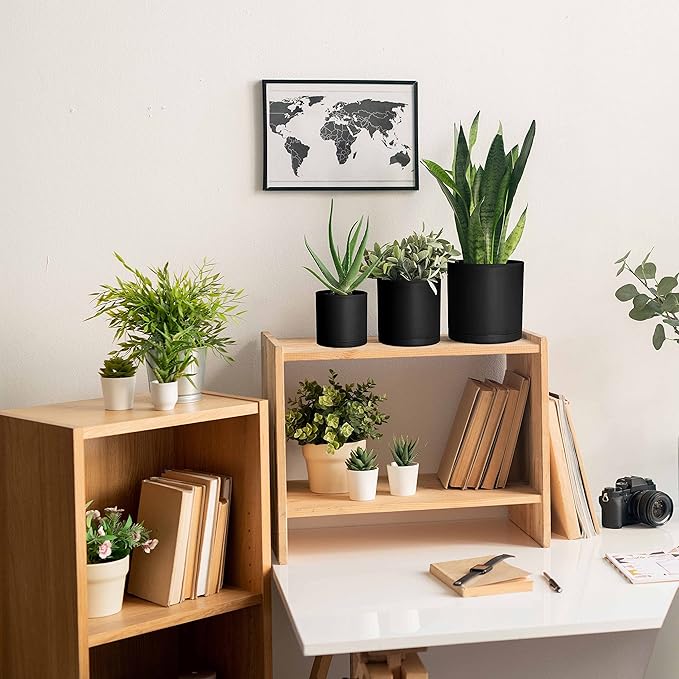 D'vine Dev 4 Inch 5 Inch 6 Inch, Set of 3 Plastic Planter Pots for Plants with Drainage Hole and Seamless Saucers, Black Color, Small, 74-V-B-1